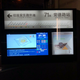 Illustration for article titled Shanghais new trolley bus system